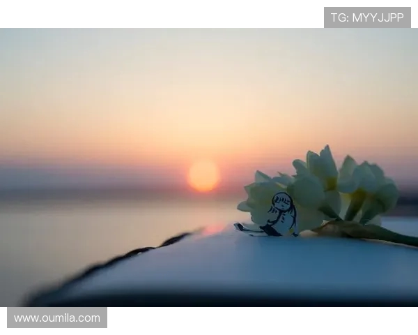 放下今日成败以无畏心态迎接明日挑战